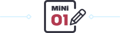 MINI 01