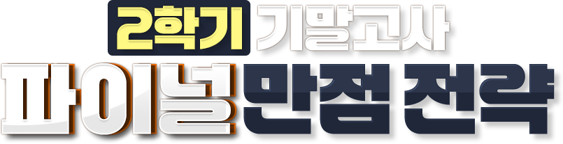 2Çб⠱⸻°í»ç ÆÄÀ̳Π¸¸Á¡ Àü·«