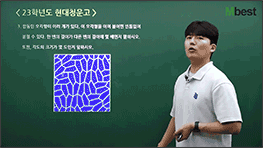 ±âÃâ ±â¹Ý Ç®ÀÌ ¿µ»ó