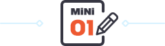 MINI 01