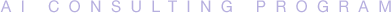 AI CONSULTING PROGRAM