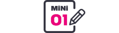 MINI 01
